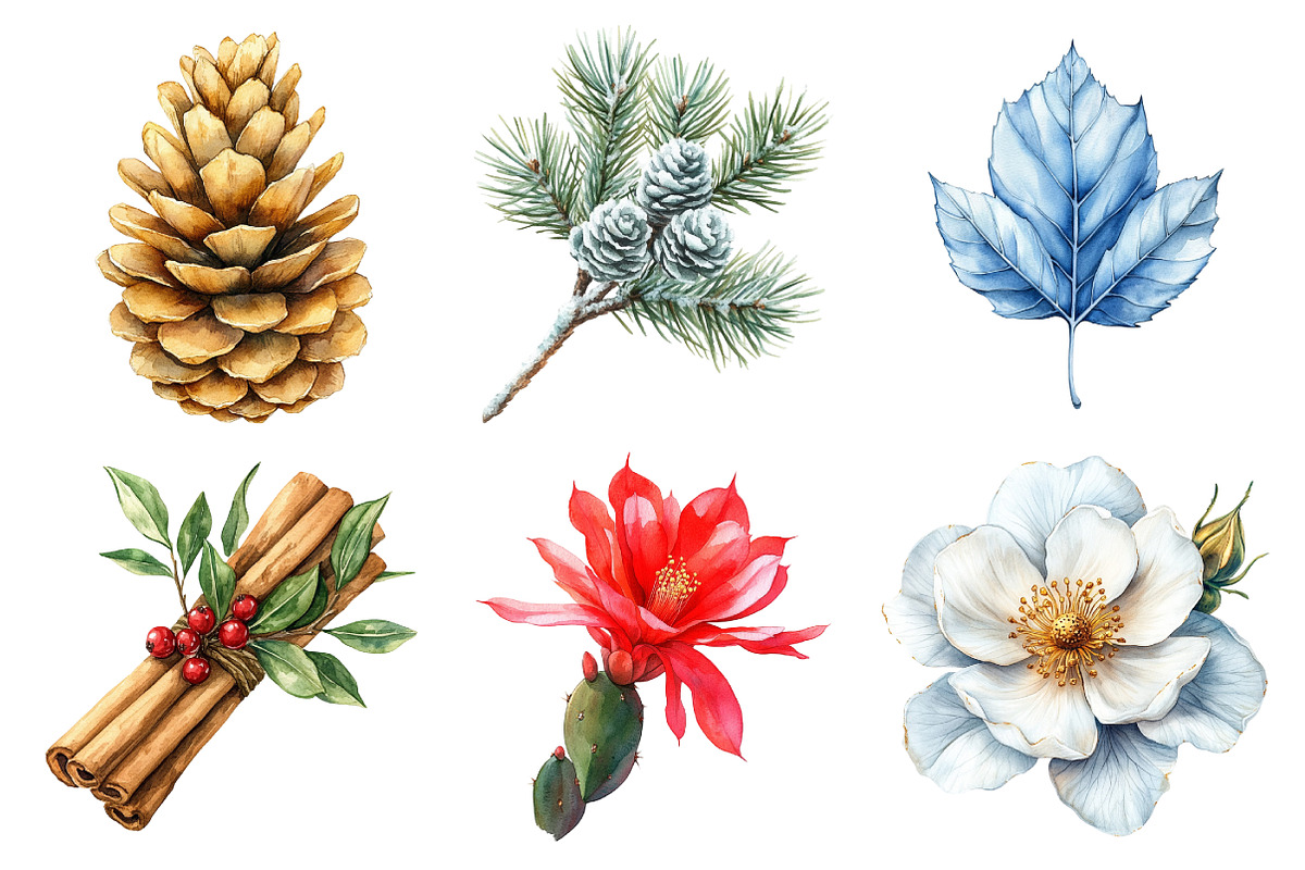 Festive Florals & Pinecones Clipart, an Illustration by Daily.Designs (Photo 4 of 5)