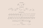 Garbina Sarleta Beauty Calligraphy, a Script Font by Storytype Studio (Thumbnail 13 of 14)