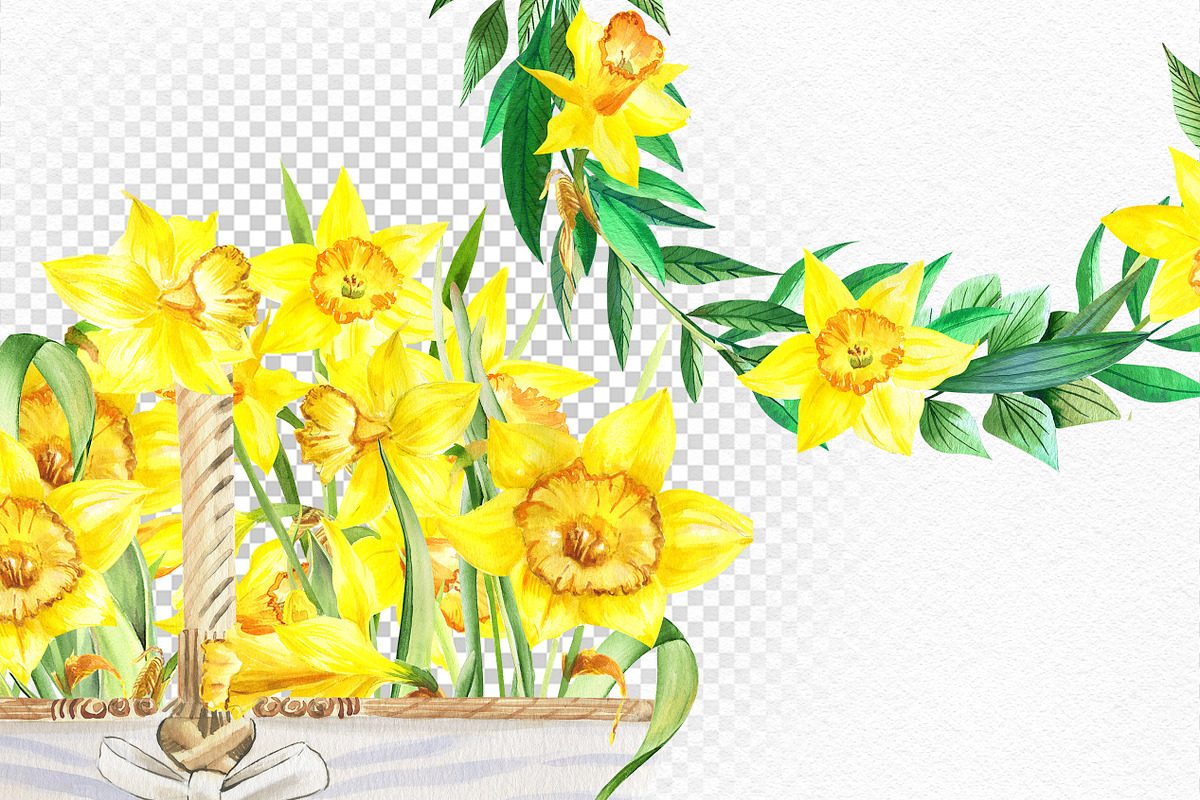 Watercolor Sunny Daffodils, an Illustration by Olga Koelsch (Photo 8 of 9)