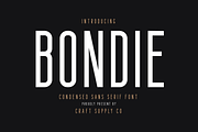 FANTASTIC Font Bundle (93%OFF), a Serif Font by Craft Supply Co. (Thumbnail 10 of 27)