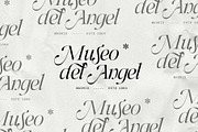Netsera Calligraphic Serif Typeface, a Serif Font by SilverStag Type Foundry (Thumbnail 8 of 30)