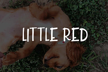 Little Red