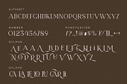 Micarlo Elegant Ligature Serif Font, a Serif Font by Perfectype (Thumbnail 6 of 6)