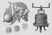 Fruit Grower's Guide Procreate Kit, a Brush Add-On by Digi Life (Thumbnail 5 of 9)