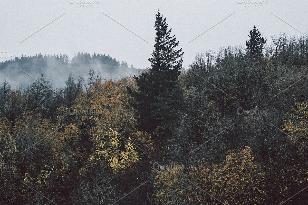 20 Adventure Stock Photos – 81% OFF, a Person Photo by GetMockups (Photo 12 of 21)