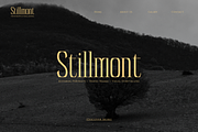 Reqaela | Display Serif Font, a Serif Font by gracetype_studio (Thumbnail 5 of 12)