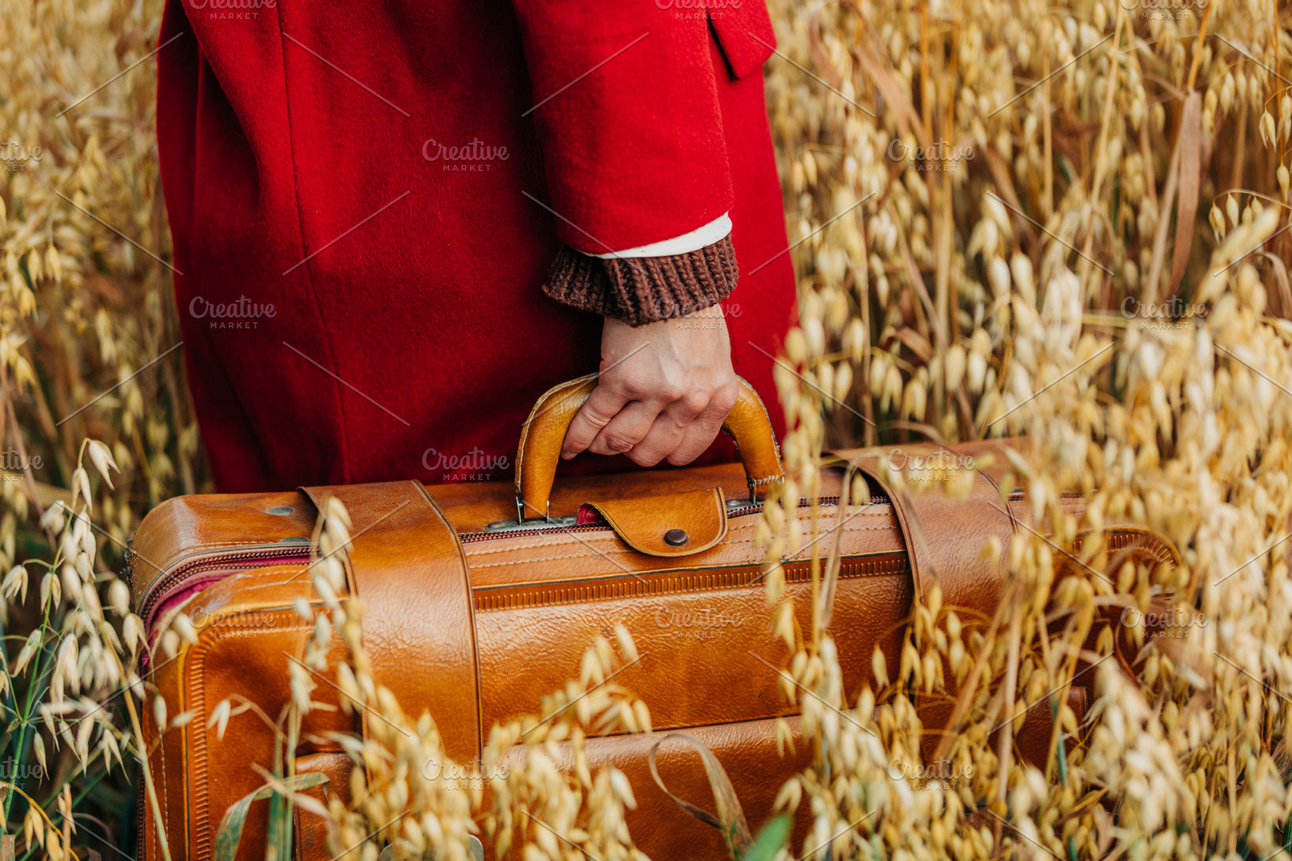Closeup view on woman in red coat hold vintage suitcase in oat f, a Person Photo by Masson Simon