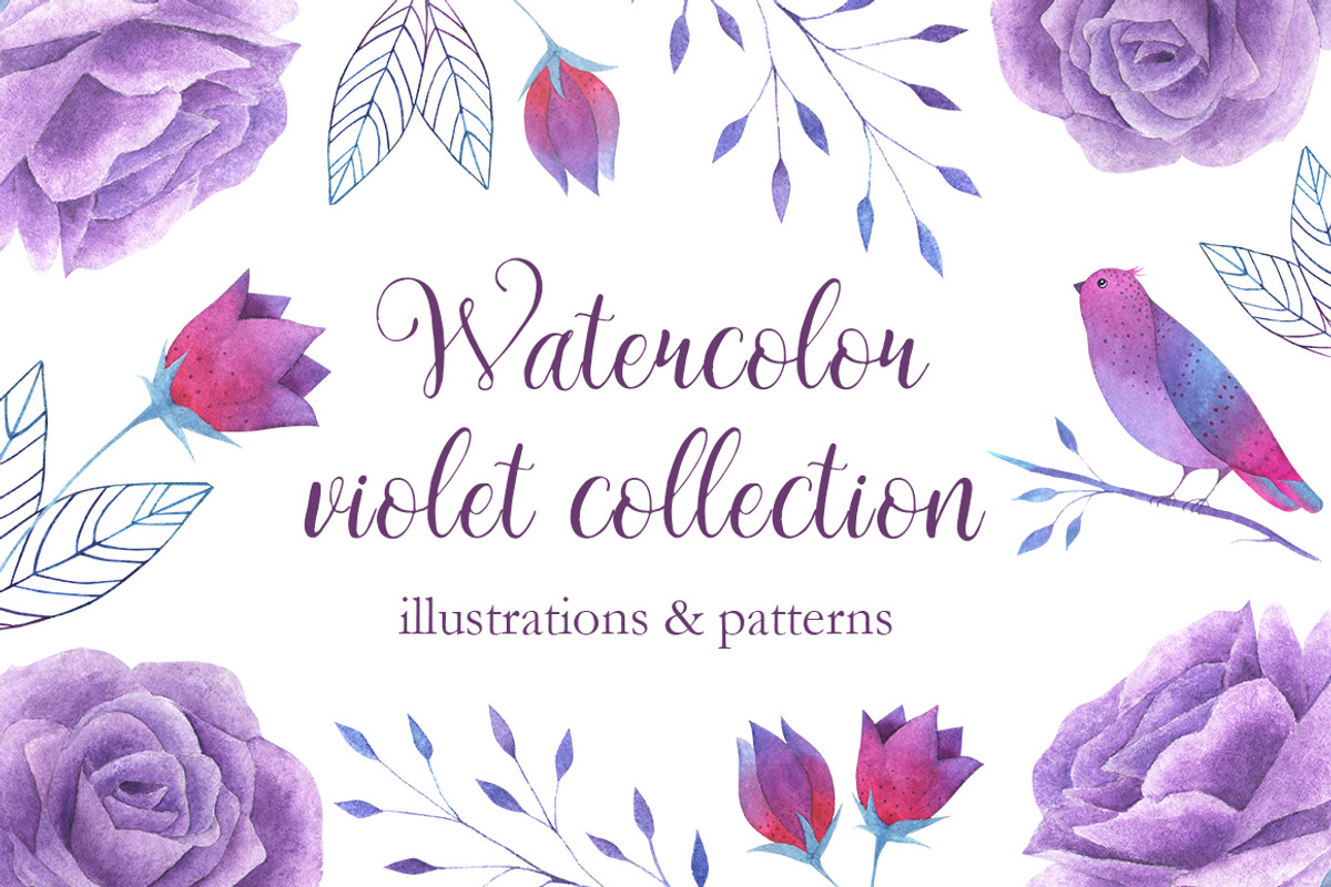 Watercolor violet collection, a Texture Illustration by katerina_korf (Photo 1 of 4)
