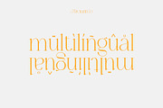 Brumer | Modern Elegant Serif, a Serif Font by Typoraith Co (Thumbnail 10 of 10)