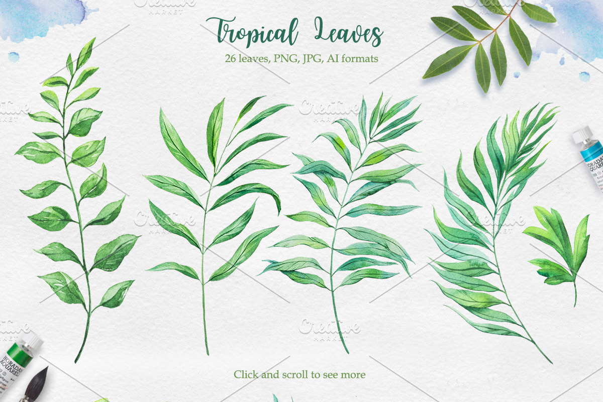 Tropical. Watercolor illustrations., a Decorative Illustration by AlexGreenArt (Photo 4 of 12)