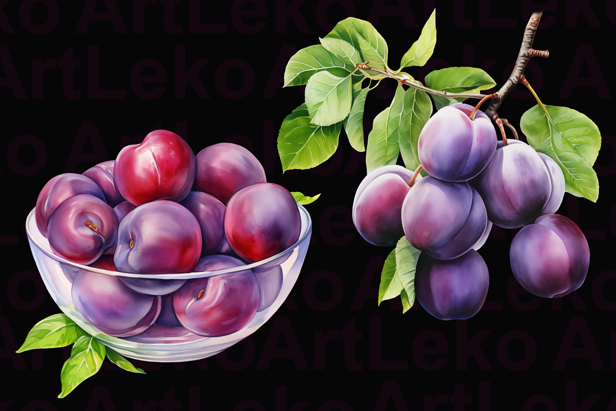 Plums Watercolor Clipart, a Food Illustration by LekoArt (Photo 7 of 10)
