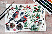 Mr.Bullfinch Watercolor ClipArt Xmas, a Decorative Illustration by Inna Sinano (Thumbnail 12 of 12)