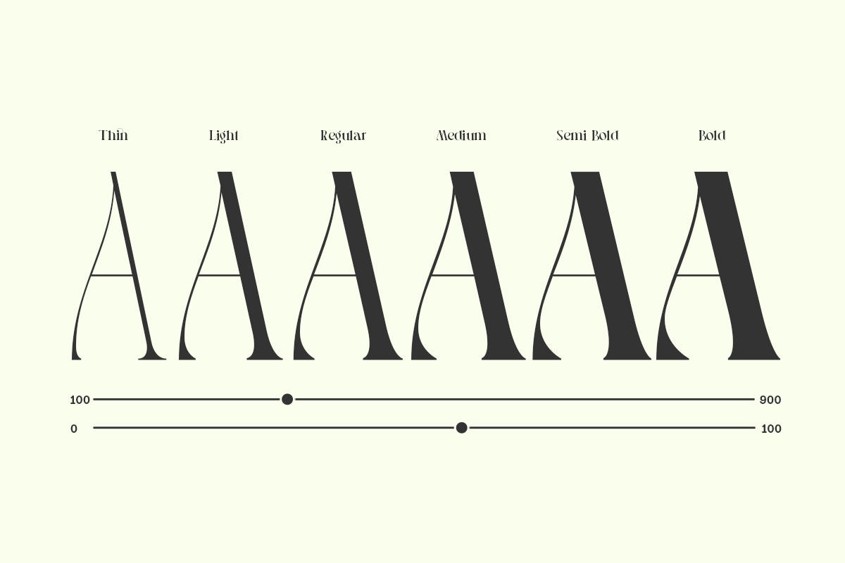 Pavon - 6 Tropic Family, a Serif Font by Dharmas Studio (Photo 6 of 16)