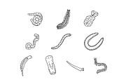 Breeds Worm Hand-Drawn Vol. 1, an Animal Illustration by SLAB! Design (Thumbnail 3 of 3)