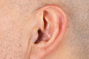 Close-up of a man's ear showing hair growing inside and outside it, an Abstract Photo by Antonio Gravante Market