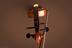 Violin 3d Model Game Ready