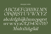 Arthouse Cinema, a Serif Font by zeenesia (Thumbnail 15 of 16)