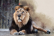 Portrait Painting Photoshop Action, an Action Add-On by MRI STUDIO (Thumbnail 5 of 8)