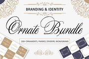 -30%Ornate Bundle. Branding identity, a Decorative Illustration by SwitzerShop (Thumbnail 1 of 8)