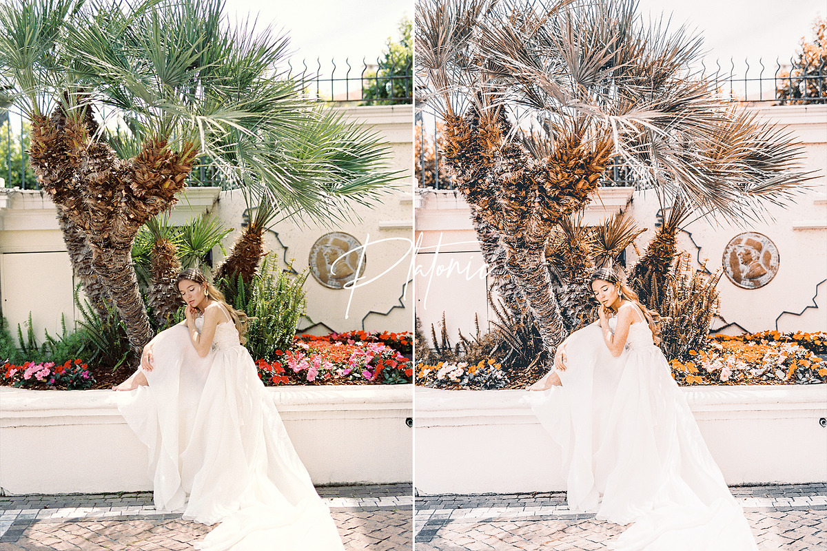 Platonic Lightroom Presets Pack, an Action Add-On by PixelHive Pro (Photo 12 of 13)