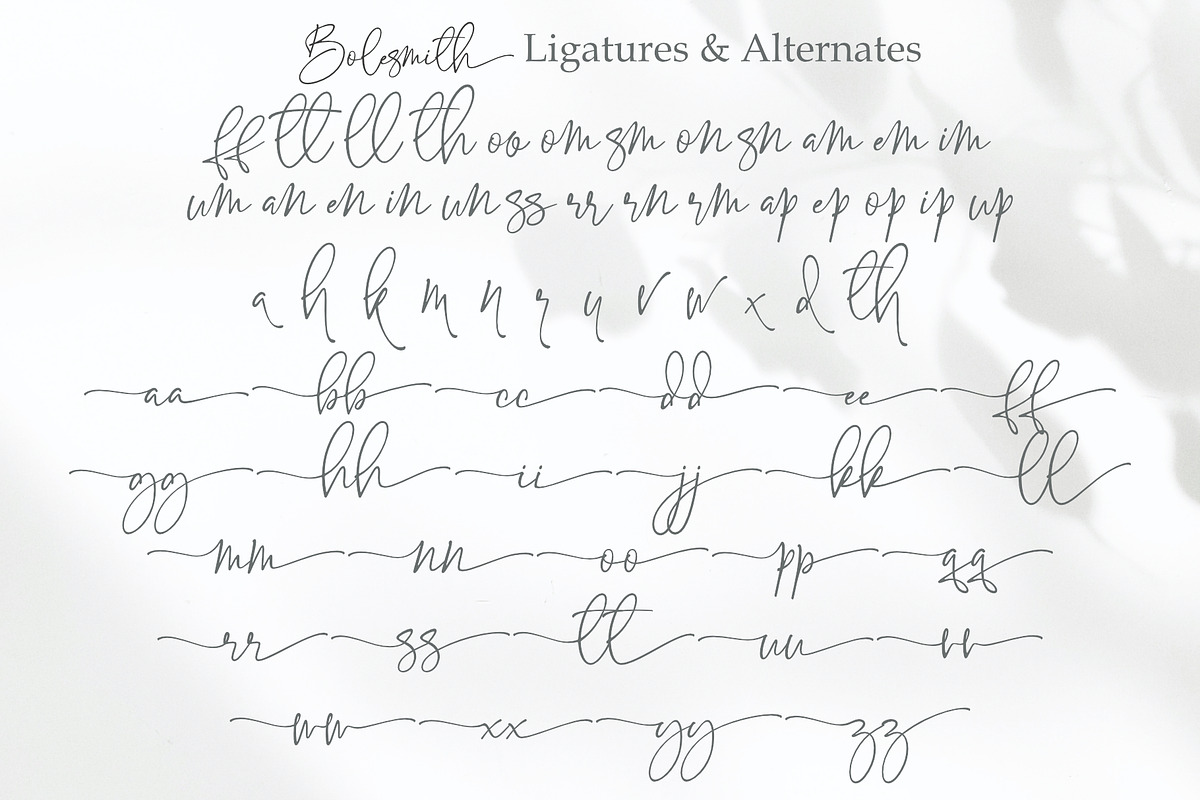 Bolesmith, a Script Font by Sealoung (Photo 16 of 17)