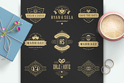 18 Wedding Logos and Badges, a Branding & Logo Template by Vasya Kobelev (Thumbnail 5 of 15)
