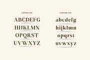 Gerdika, a Serif Font by Mantype Studio (Thumbnail 6 of 14)