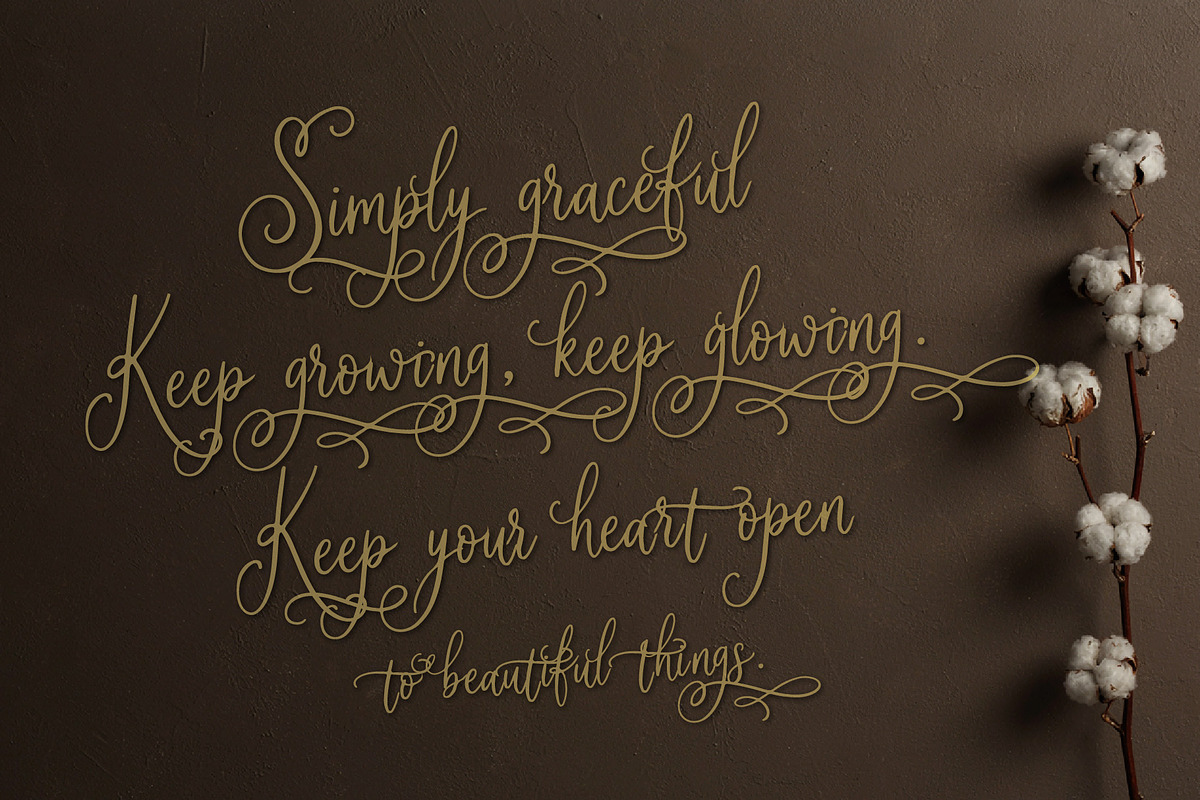 Soila Yadelle Elegant Curves Script, a Script Font by HypeWorksCo (Photo 12 of 15)