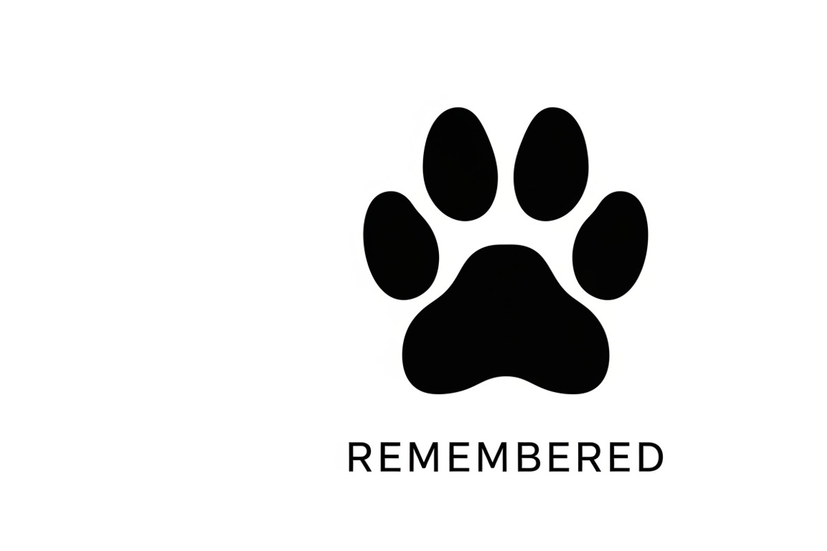 Heartfelt paw print memorial plaque, an Illustration by Amazin_art (Photo 8 of 32)