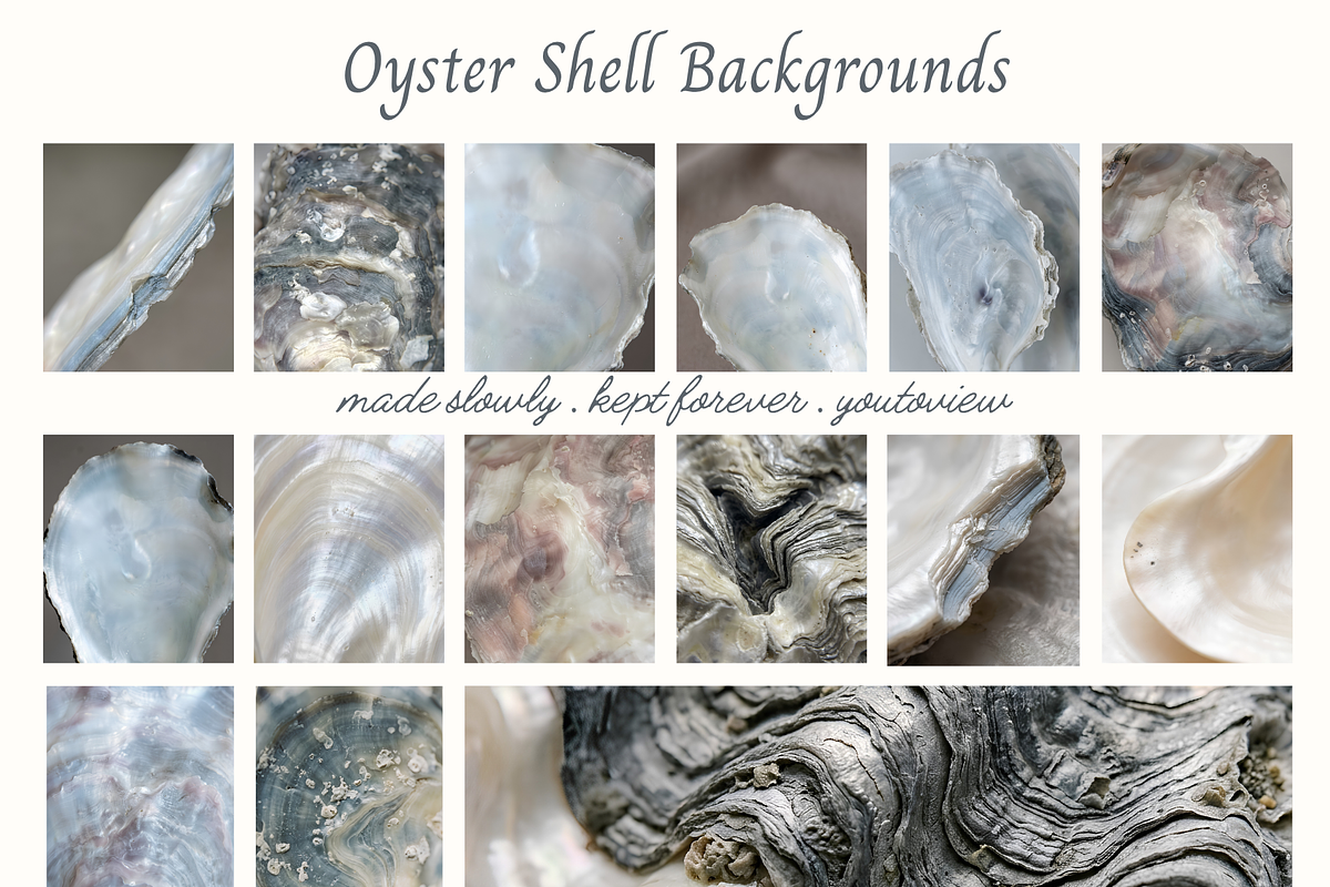 Oyster Shell Textures Backgrounds, a Background Graphic by youtoview (Photo 3 of 12)