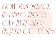 Cospiog - Modern serif font, a Serif Font by NuType (Thumbnail 4 of 9)