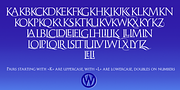 Monogramma, a Serif Font by Wiescher-Design (Thumbnail 7 of 14)