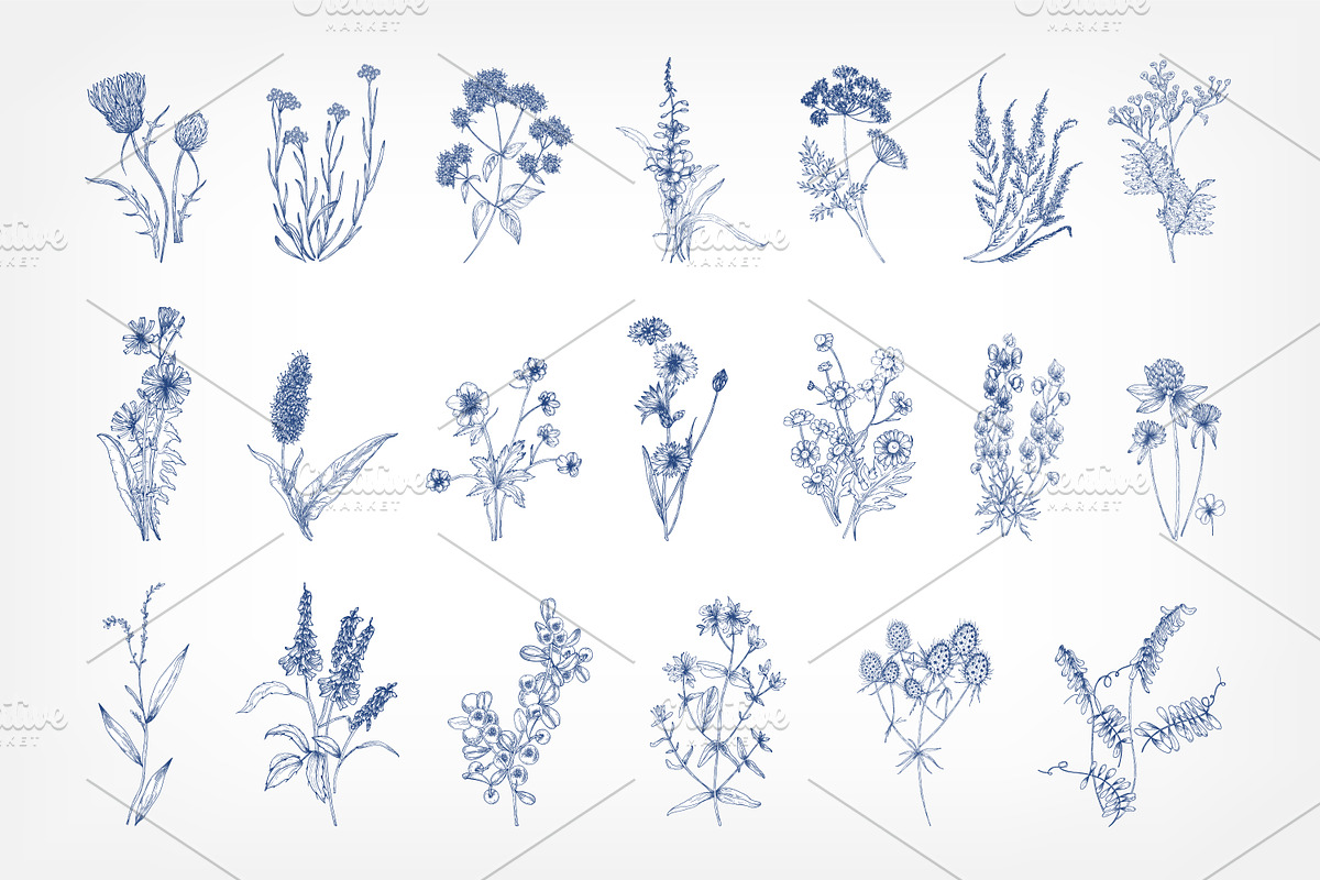 Wild flowers,herbs,herbaceous plants, a Texture Illustration by Good Studio (Photo 3 of 22)