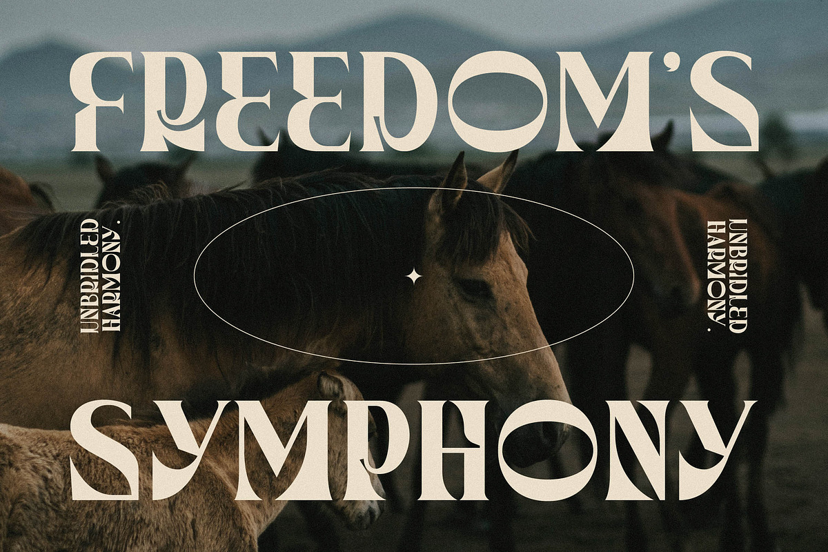 Waflerd Modern Display Font, a Serif Font by Letterena Studios (Photo 8 of 15)