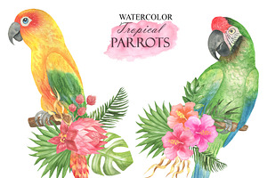 Watercolor Tropical Parrots