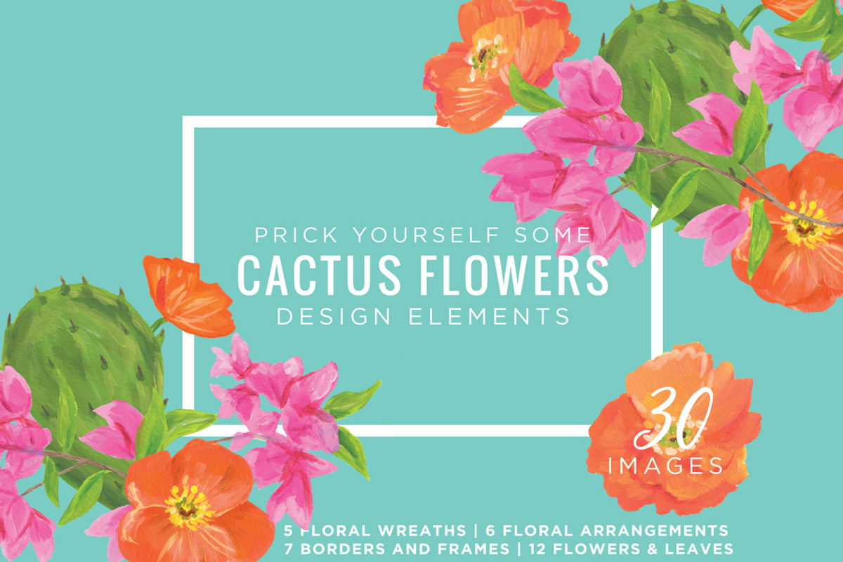 Cactus Flowers Graphic Kit, an Illustration by Relish Designs (Photo 1 of 6)