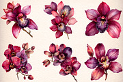 Watercolor Burgundy Orchids Clipart, an Illustration by Digital Artistic99 (Thumbnail 2 of 9)