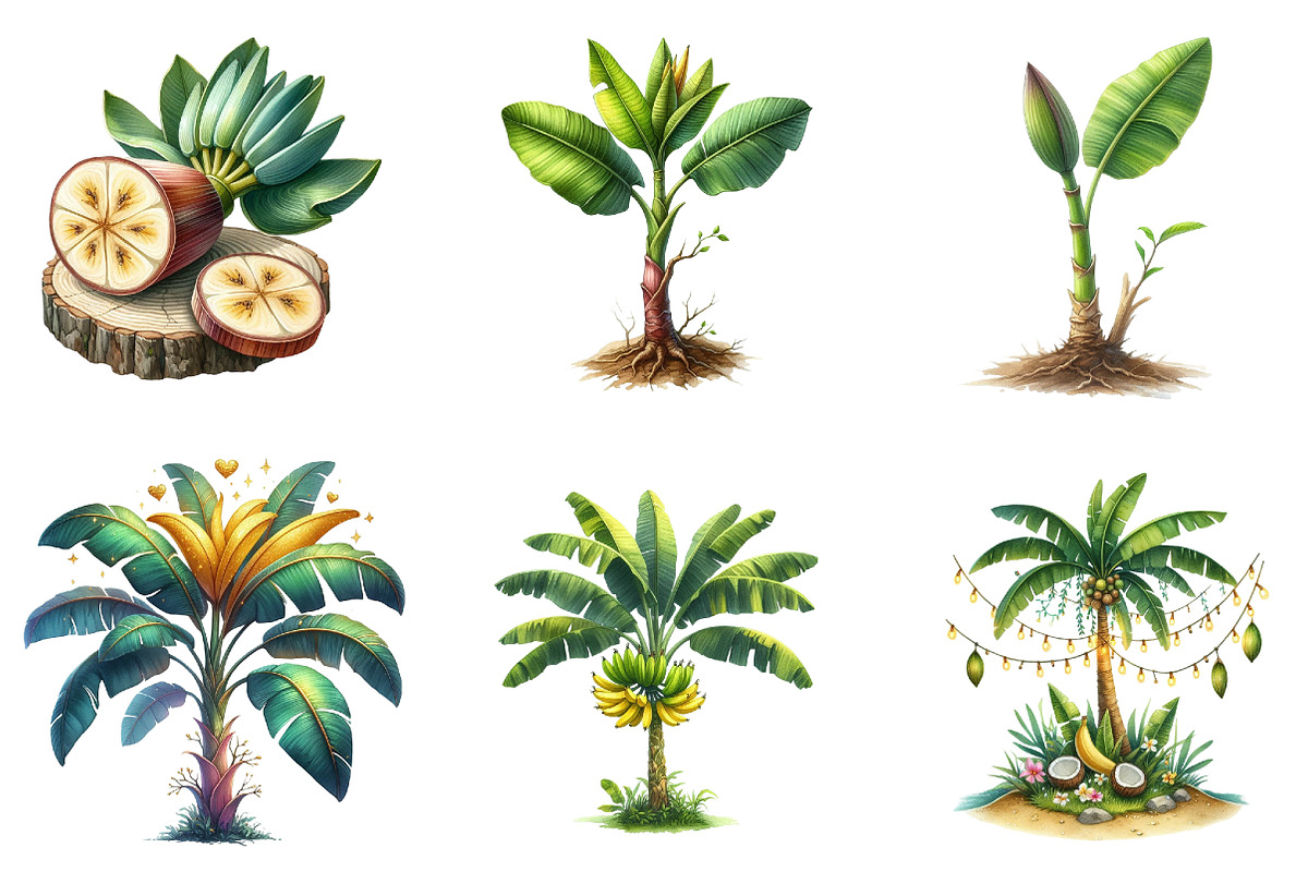 Banana Tree Free Clipart, an Illustration by DreamArtGraphic (Photo 7 of 7)