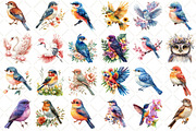 Watercolor Floral Birds Clipart, an Illustration by Black Bird Studio (Thumbnail 2 of 5)
