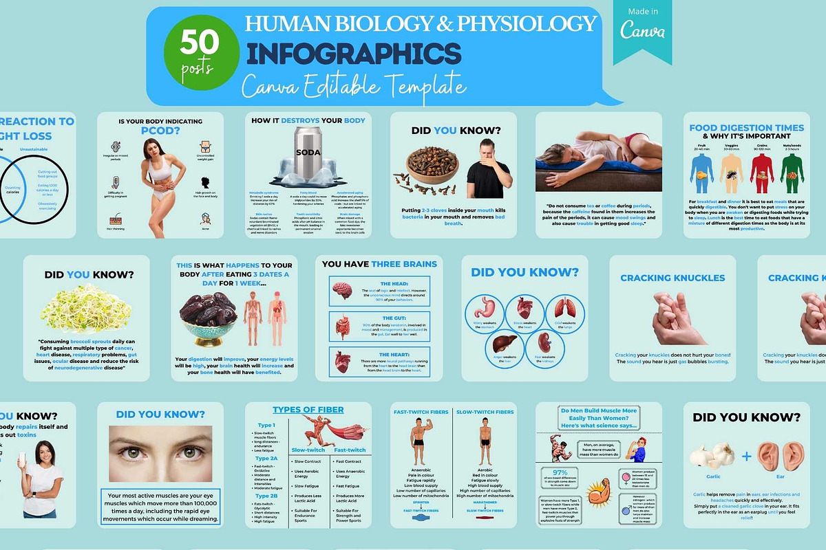 Health & Fitness Bundle -Canva Posts, a Social Media Template by Viral Content Design (Photo 10 of 19)
