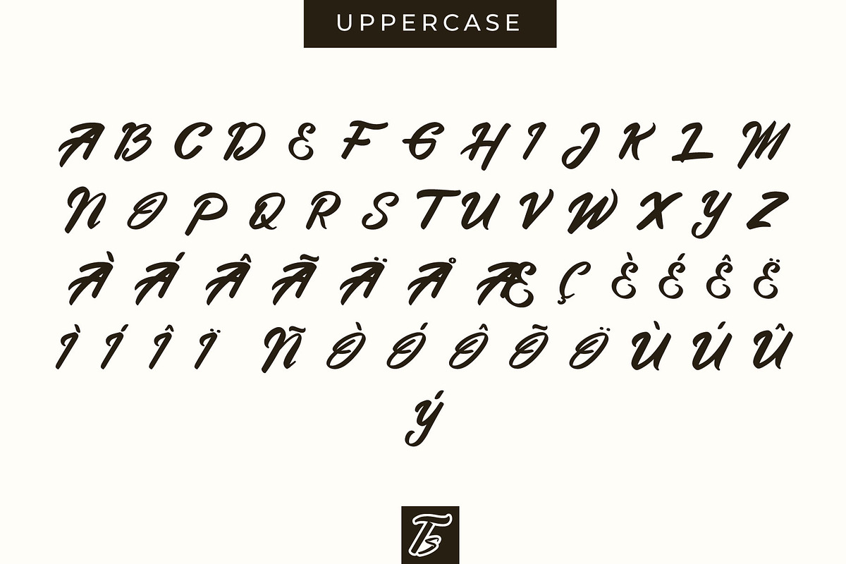Metanoia - Fancy Font preview 6