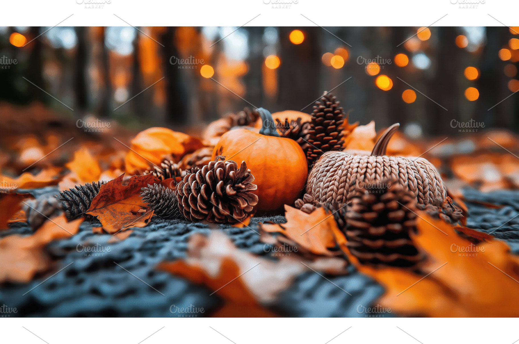 Close-up of pumpkins and pinecones, a Nature Photo by Sergey Kotenev