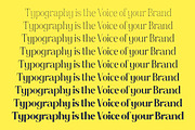 Fontera, a Serif Font by Slex Studio (Thumbnail 3 of 13)