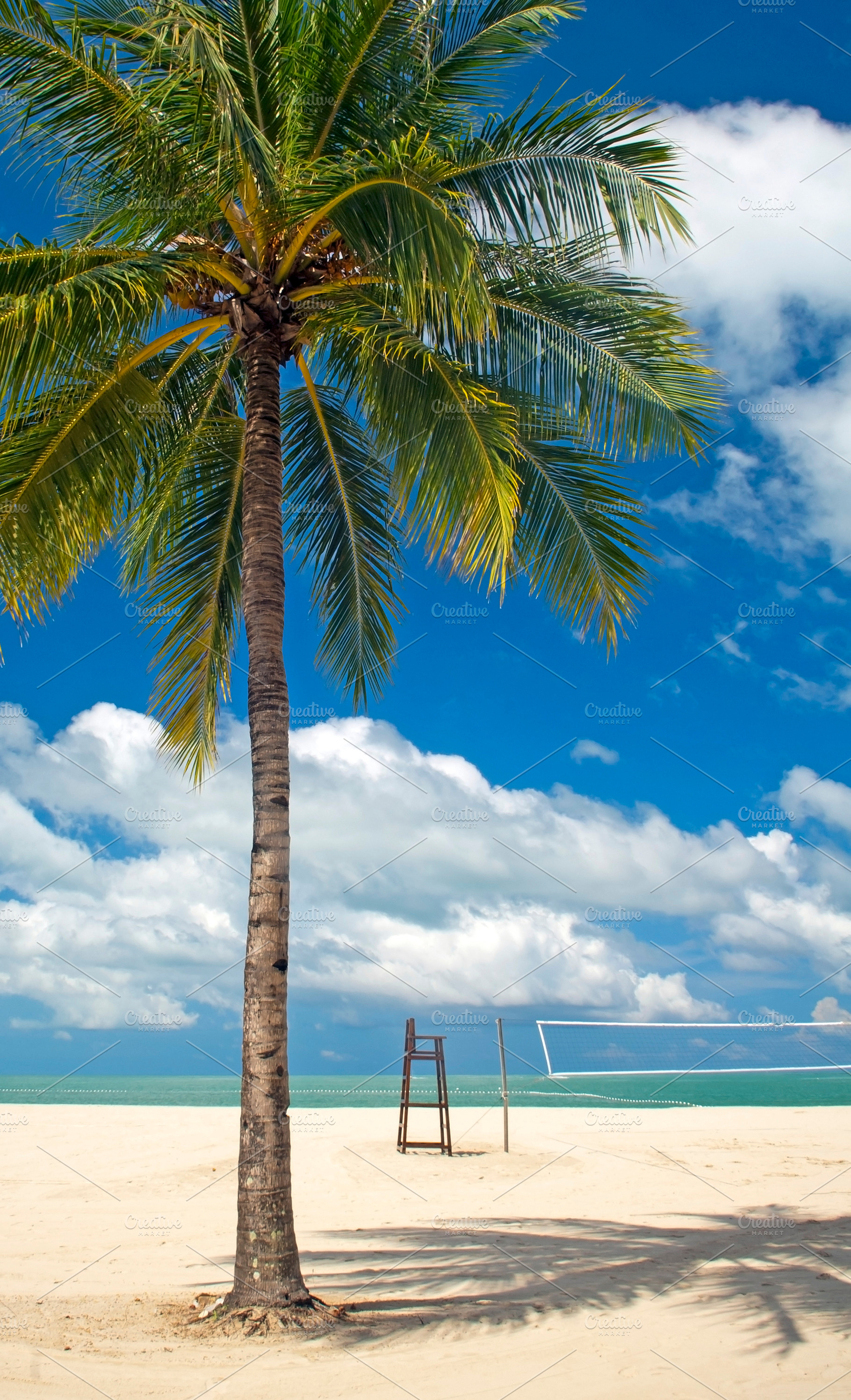 Palm Tree Beach, a Nature Photo by THP Creative