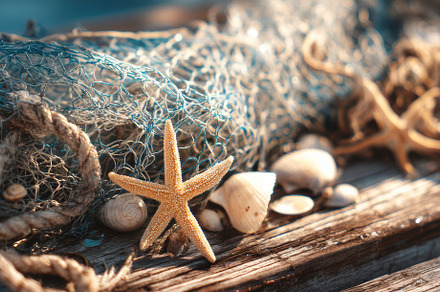 Fishing net with seashells on boat, a Holiday Photo by Virgo Studio