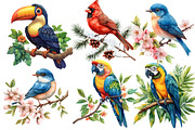 Birds on Branch Clipart Bundle, an Illustration by Designworld (Thumbnail 2 of 4)