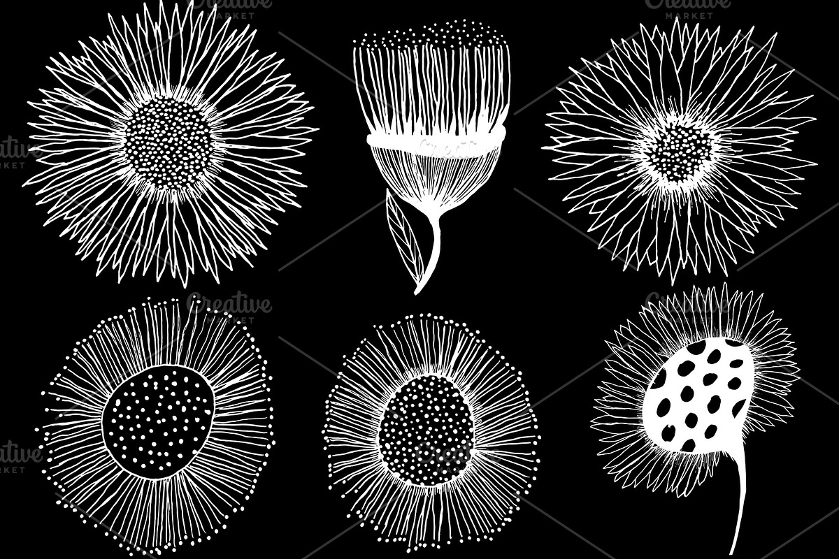 Decorative Sunflower Line Art Bundle, a Decorative Illustration by kristiangallagher (Photo 7 of 9)
