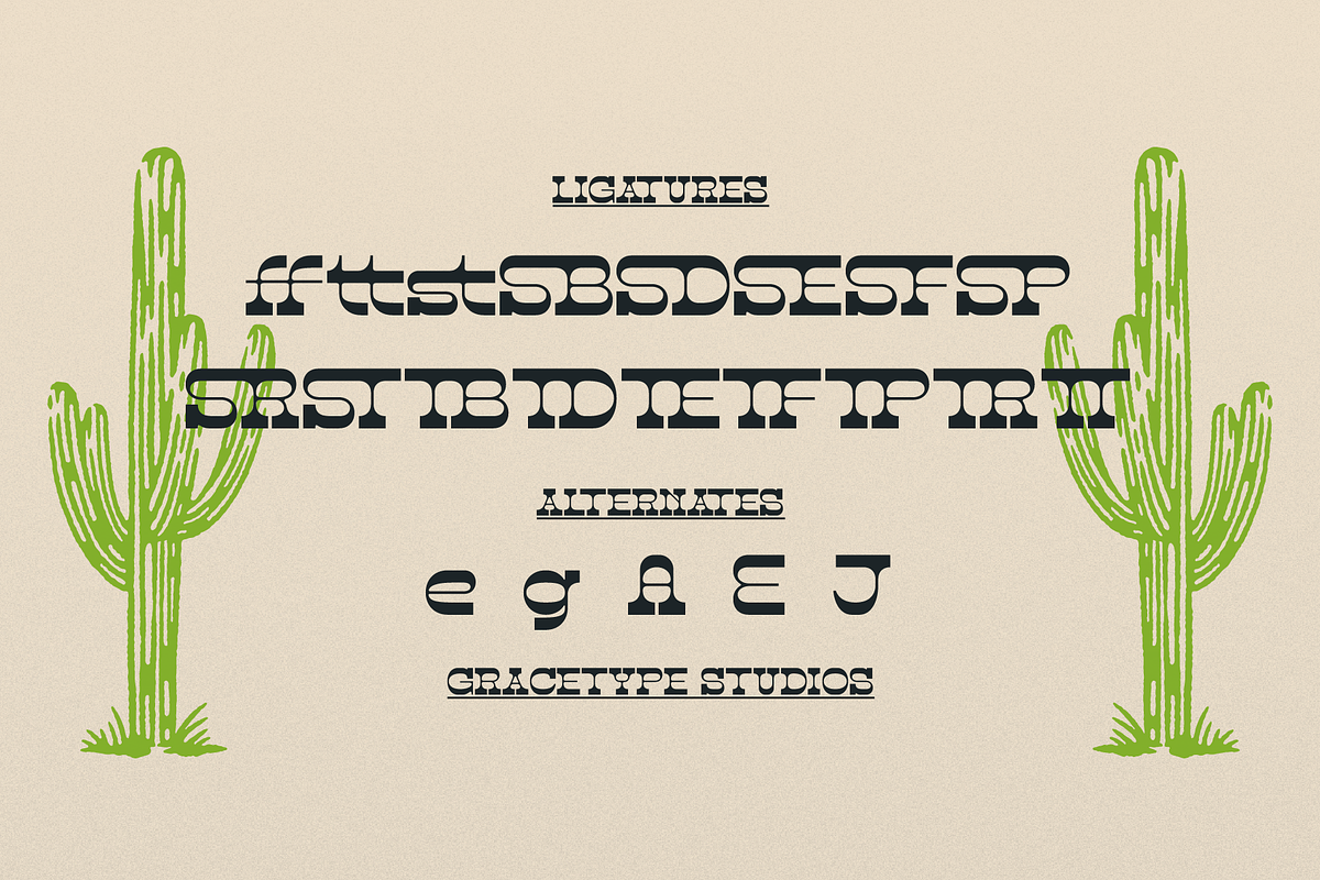 Abron Clinton | Western Slab Serif, a Slab Serif Font by gracetype_studio (Photo 12 of 12)