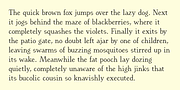 EuroikaKamp, a Serif Font by Ingrimayne Type (Thumbnail 4 of 11)