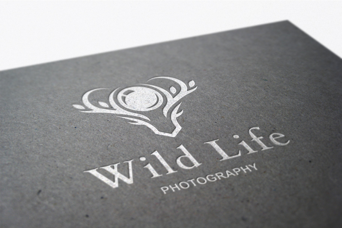 Wild Life Photography Logo, a Branding & Logo Template by MotionMount (Photo 6 of 11)